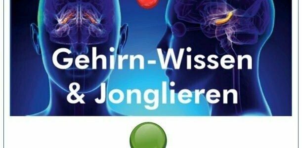 Gehirn-Wissen & Jonglieren für Weiterbildung & Didaktik (1 Tag) (Workshop | Hamburg)