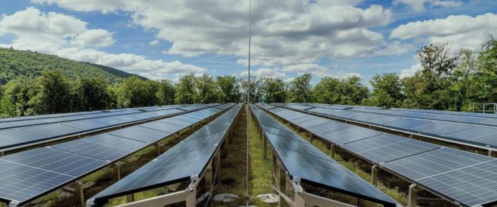 Solargründach – die Systemsymbiose für nachhaltige Städte (Seminar | Online)