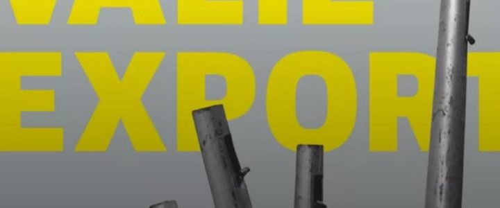 Ausstellung VALIE EXPORT (Ausstellung | Bregenz)