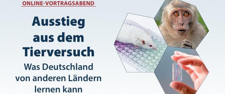 Online-Vortrag: Ausstieg aus dem Tierversuch – was Deutschland von anderen Ländern lernen kann (Vortrag | Online)