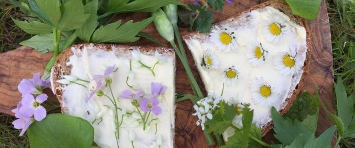 Wenn das Gänseblümchen aus dem Quarkbrot wächst… (Unterhaltung / Freizeit | Weberstedt)