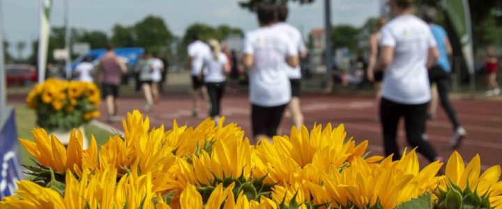 2. Laufend gegen Krebs (Unterhaltung / Freizeit | Dresden)