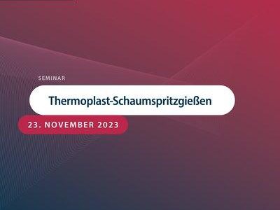 Thermoplast-Schaumspritzgießen (Seminar | Aachen)