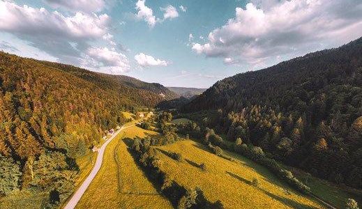 Schwarzwald & Elsass Sportwagentour (Unterhaltung / Freizeit | Strasbourg)