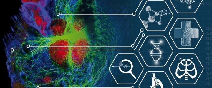 3D Cell Culture 2025: Functional Precision Medicine (Konferenz | Freiburg (Elbe))