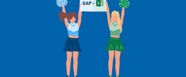 Kostenfreies Webinar: So werden SAP und Excel ein Dream-Team (Webinar | Online)