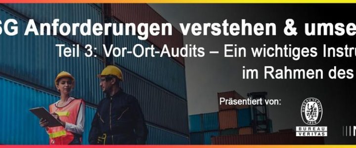 Teil 3: Vor-Ort-Audits – Ein wichtiges Instrument im Rahmen des LkSG (Webinar | Online)