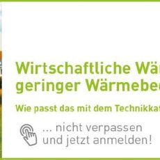 Wirtschaftliche Wärmenetze trotz geringer Wärmebedarfsdichte (Webinar | Online)