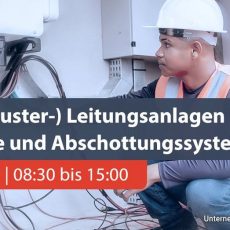 MLAR (Muster-) Leitungsanlagen Richtlinie und Abschottungssysteme (Schulung | Online)